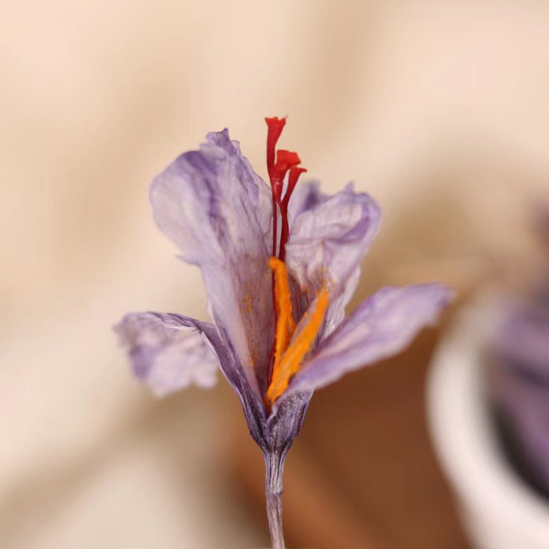 Saffron Wholesale Bottled Multi-Specification